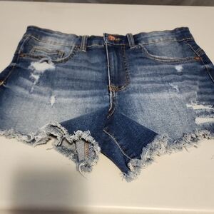 Ariya Blue Distressed Jean Shorts